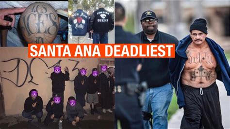 delhi gang santa ana|biggest gang in santa ana.